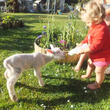 Little Paradise & Petting Farm Greymouth Εξωτερικό φωτογραφία