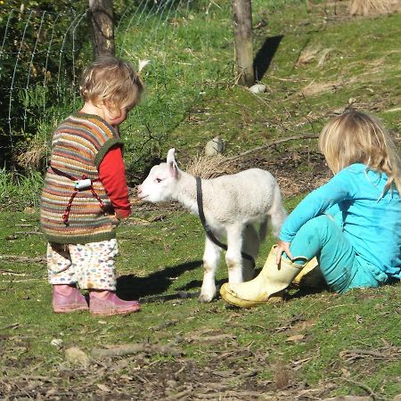 Little Paradise & Petting Farm Greymouth Εξωτερικό φωτογραφία
