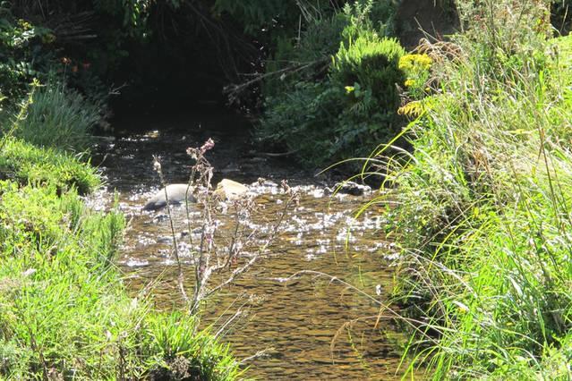 Little Paradise & Petting Farm Greymouth Εξωτερικό φωτογραφία