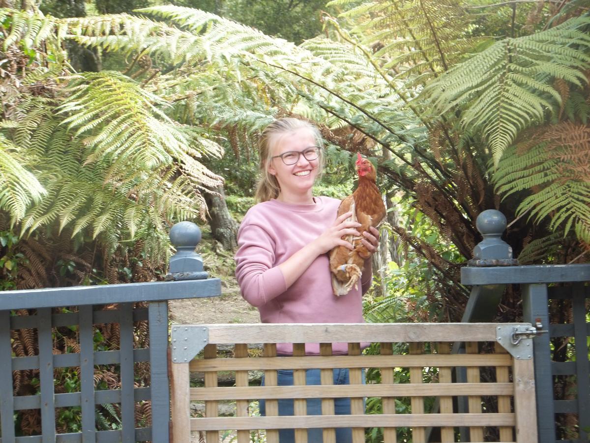 Little Paradise & Petting Farm Greymouth Εξωτερικό φωτογραφία