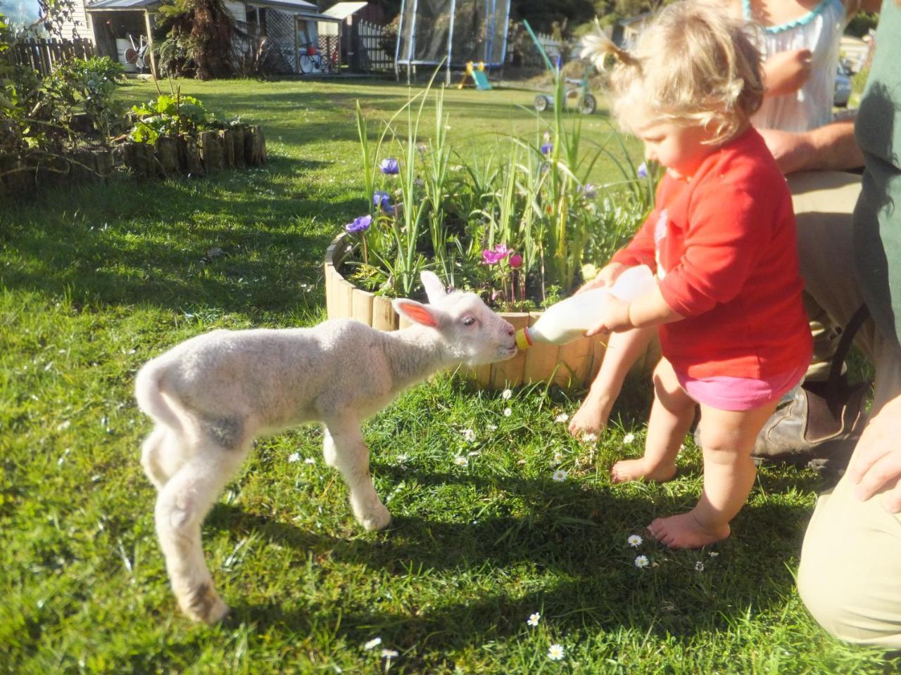 Little Paradise & Petting Farm Greymouth Εξωτερικό φωτογραφία