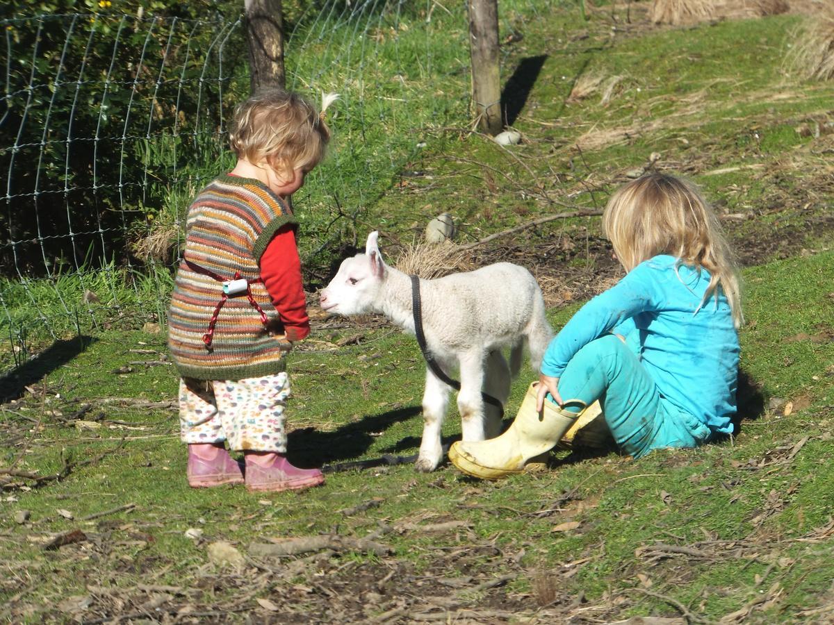 Little Paradise & Petting Farm Greymouth Εξωτερικό φωτογραφία